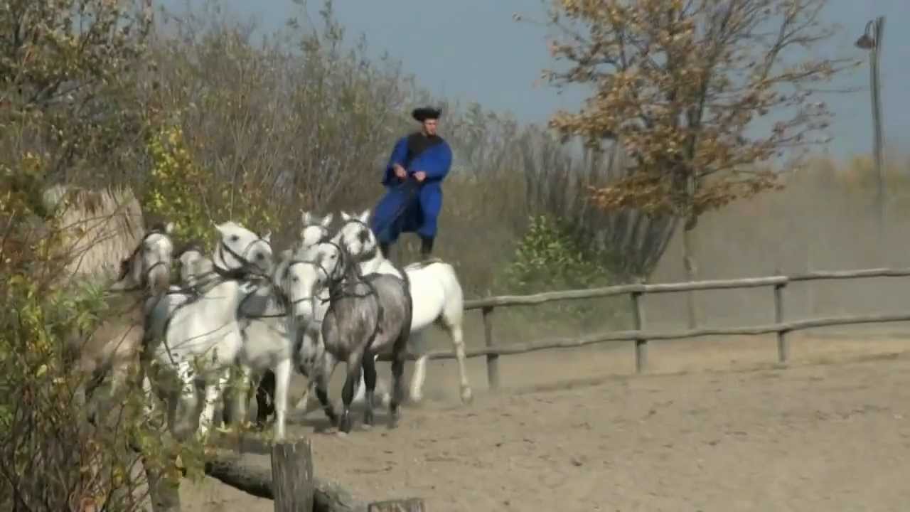Hungarian Horsemen