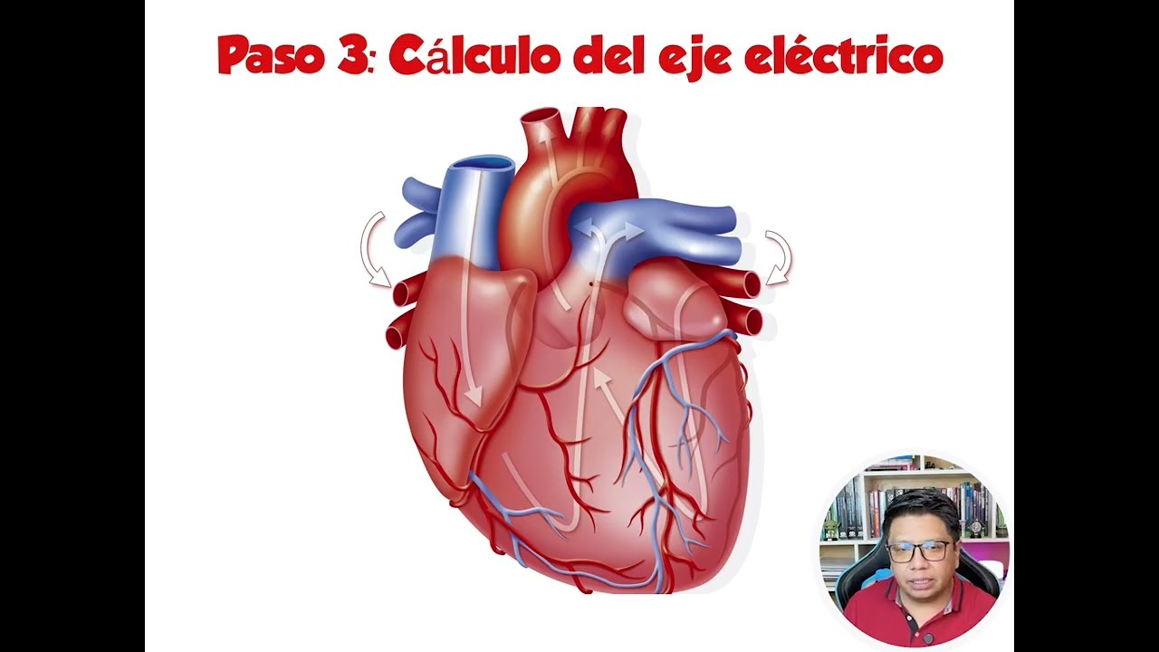 Capitulo 1: Interpretación Electrocardiograma normal