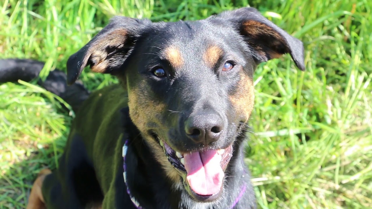 Über dein Du zum Wir