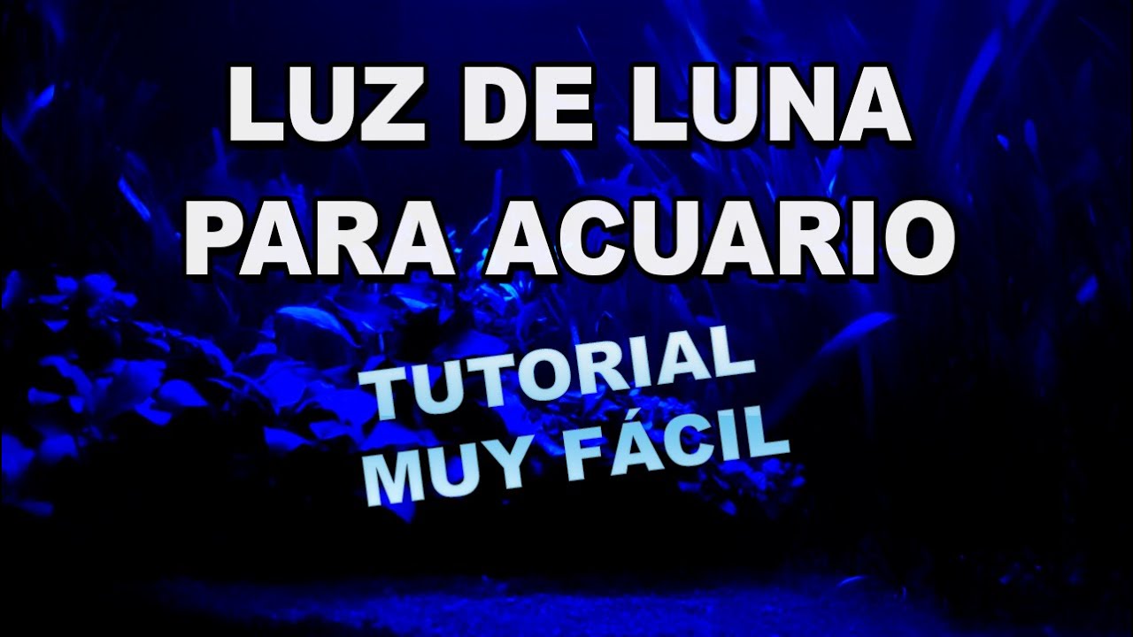 Como hacer LUZ DE LUNA para el acuario por MENOS DE 5€