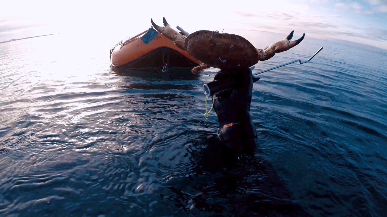 Spearfishing/uvjagt          Lobster hunting in 0&deg; water  🥶🦞