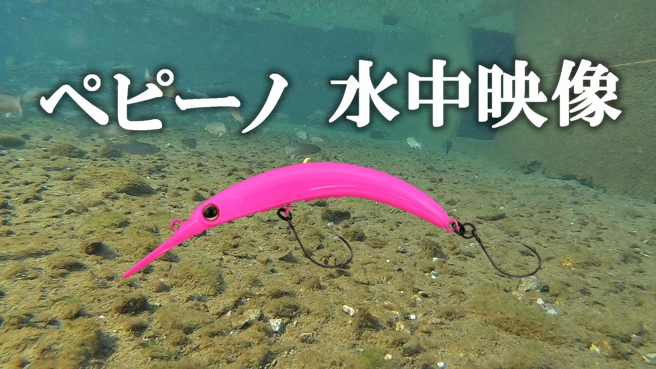 ペピーノ水中映像　MSUKEN水族館【エリアトラウト】