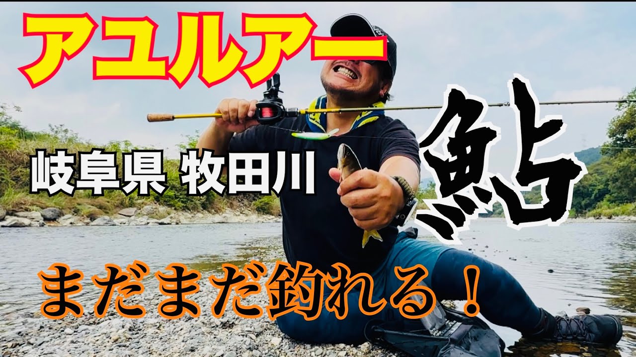 【アユイング】岐阜県牧田川でアユルアー！たくさん釣れるよ！