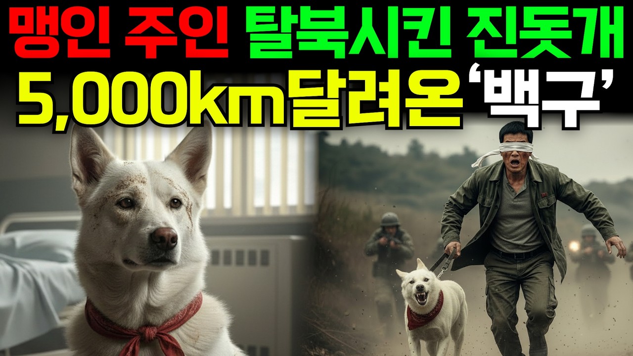 사람보다 개가 낫다. 맹인 데리고 두만강 건넌 백구 미쳤다...