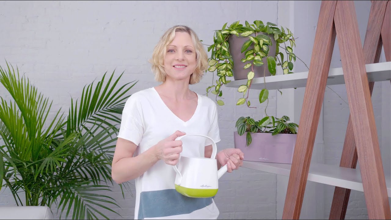 How To Water Plants In Lechuza Planters