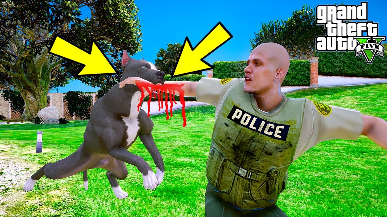 YAVRU PİTBULL DELİRDİ! POLİS AMİRİNİN KOLUNU KOPARTIYOR! - GTA 5