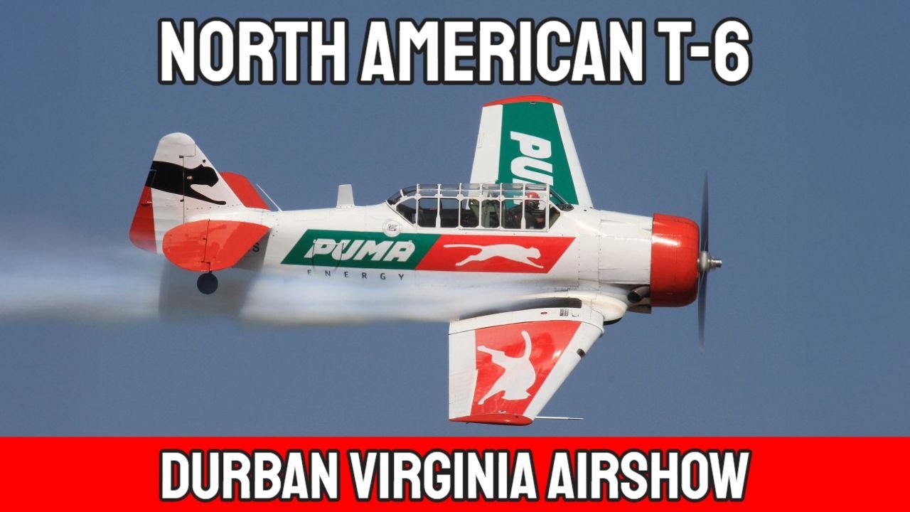 North American T-6 │ Puma Flying Lions