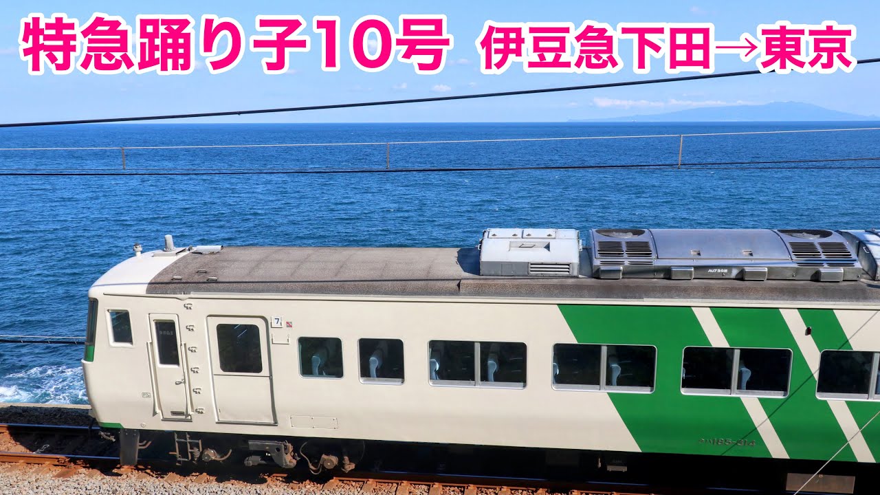 【車窓】185系特急踊り子10号 伊豆急下田→東京 See Japan by train “Ltd. Express ODORIKO for Tokyo”