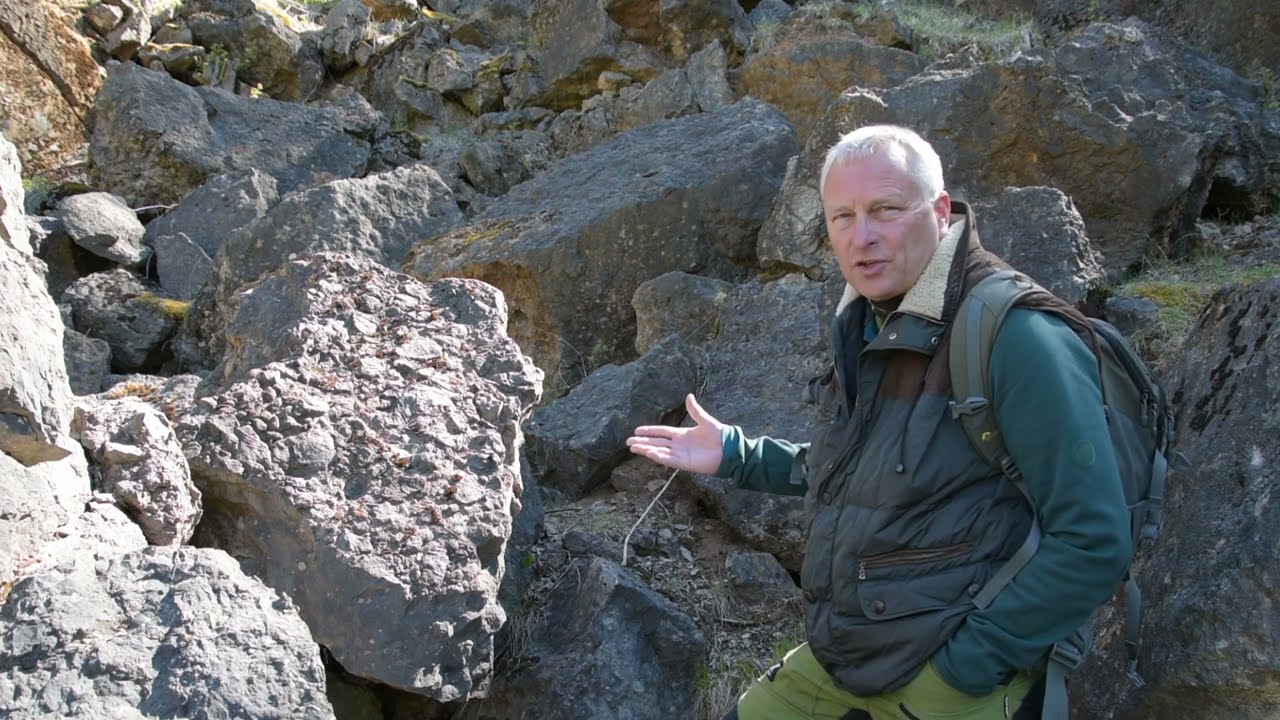 Fossiliensuche in der Eifel