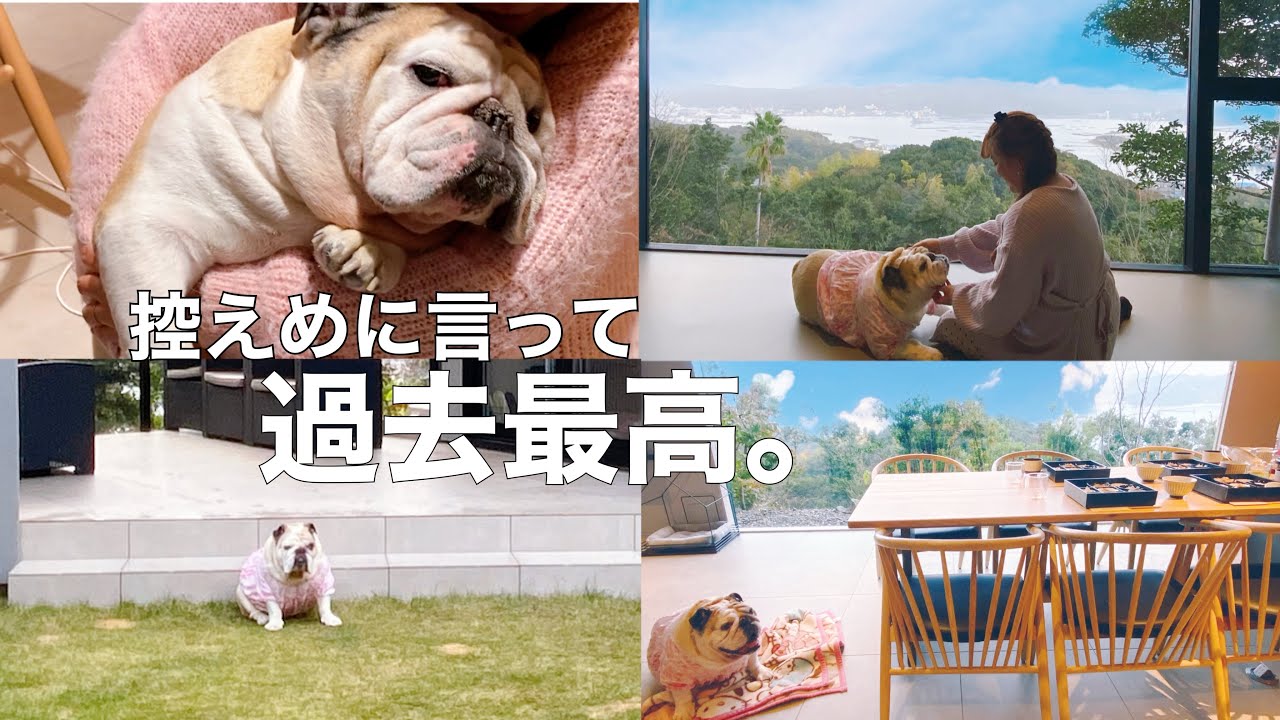 【犬と泊まれる宿】淡路島にある別荘が控えめに言って神だった！【ドックラン付き】