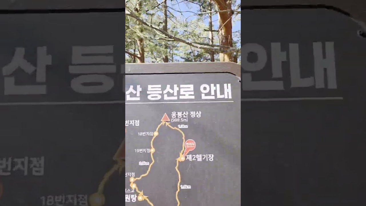응봉산 최단코스