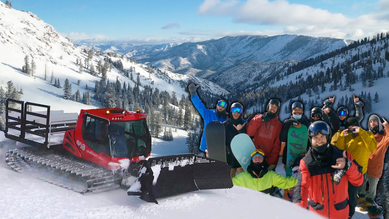 DREAM POW Day Cat Boarding with Casey Willax & CREW !!
