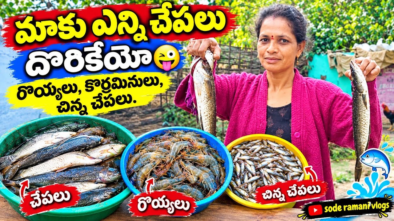 మాకు ఎన్ని చేపలు దొరికేయో మీరు చూడండి//fishing//sode ramani vlogs//