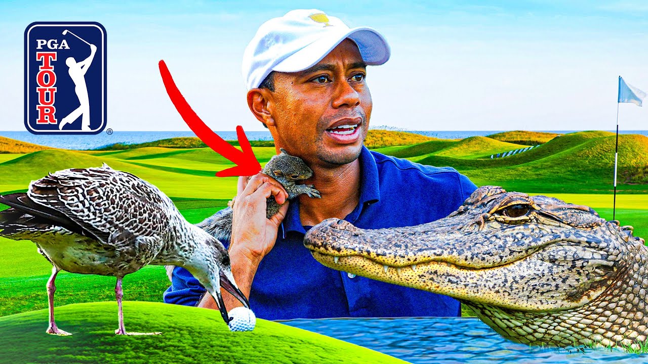 Top 10: Animal Encounters on the PGA TOUR