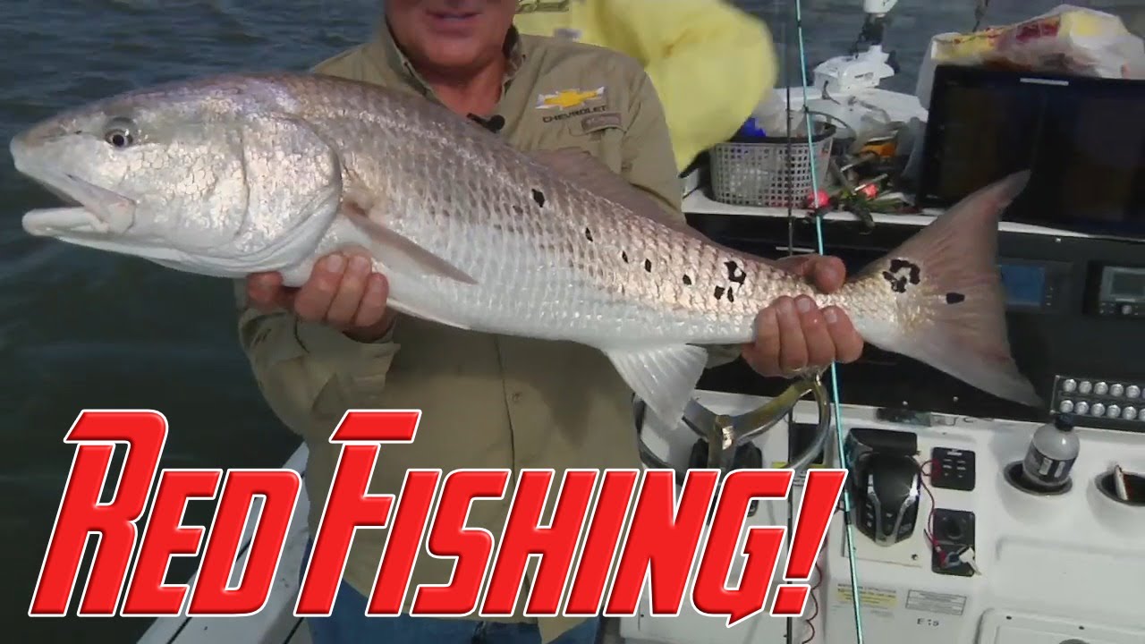 Winyah Bay Redfishing | Bob Redfern's Outdoor Magazine