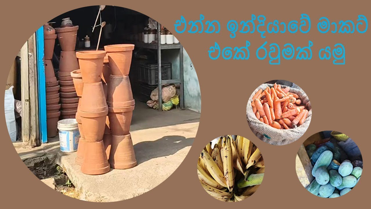 බාගෙට පණ ගිය දවසක්