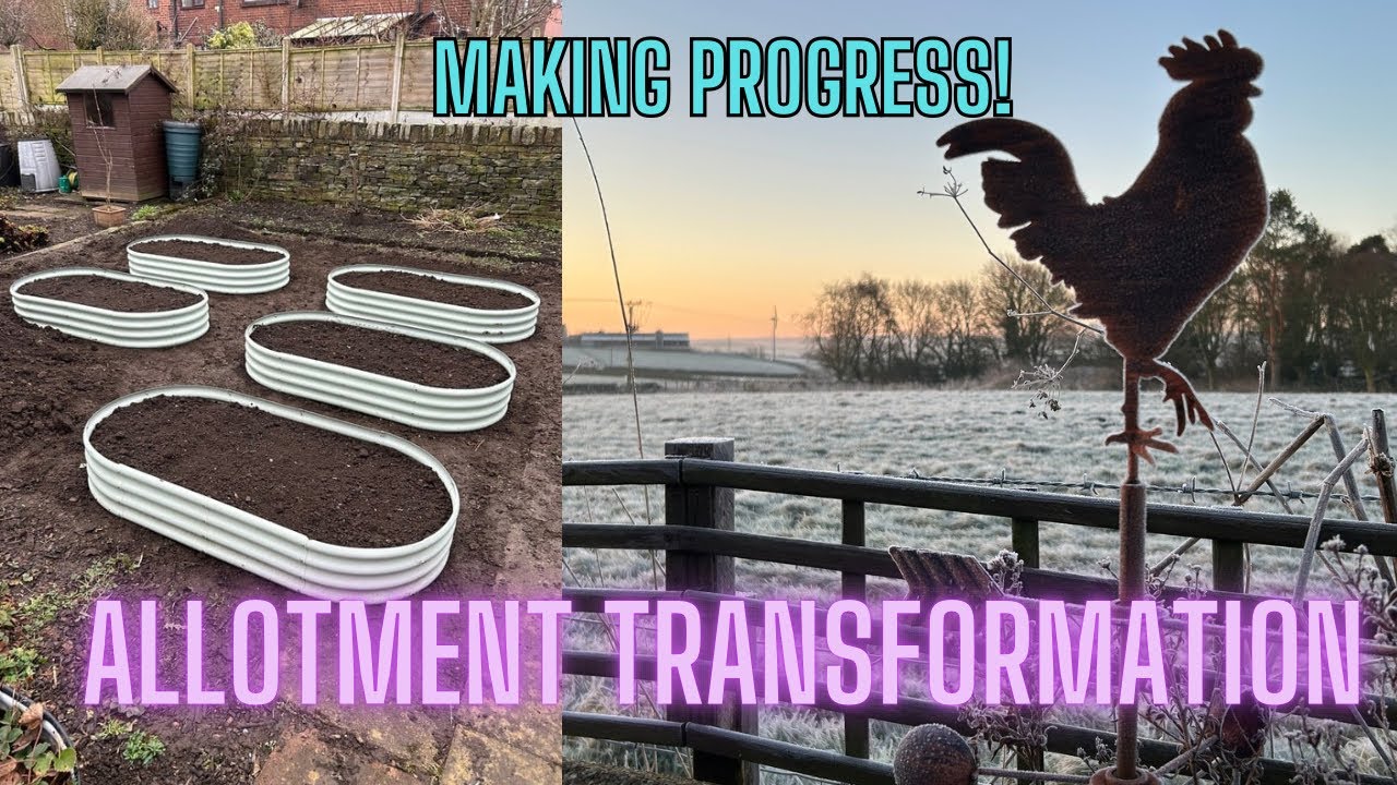 We’re making progress! Allotment transformation. Raised bed gardening.