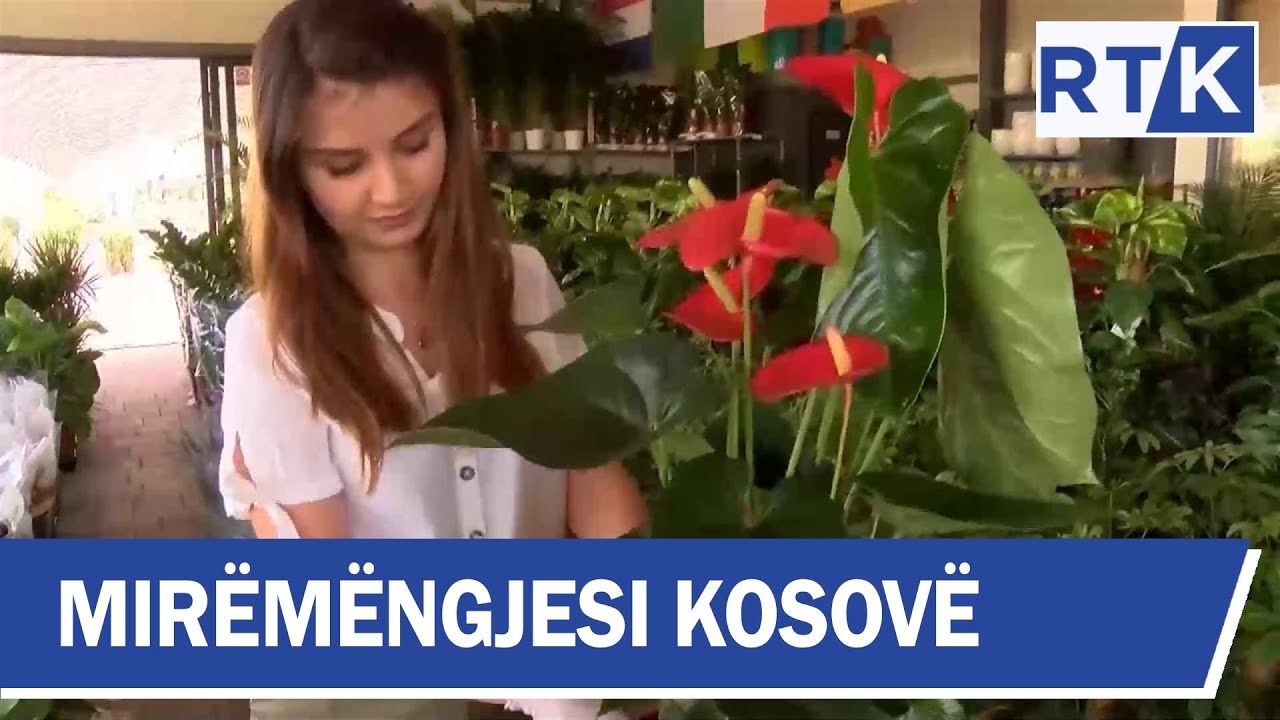 Mir&euml;m&euml;ngjesi Kosov&euml; - Kronik&euml; - Kujdesi p&euml;r lulet 20.07.2019
