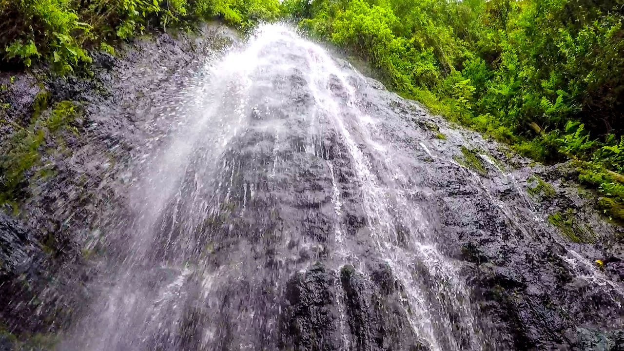 Hamama Falls Hike / Kaneohe, Oahu