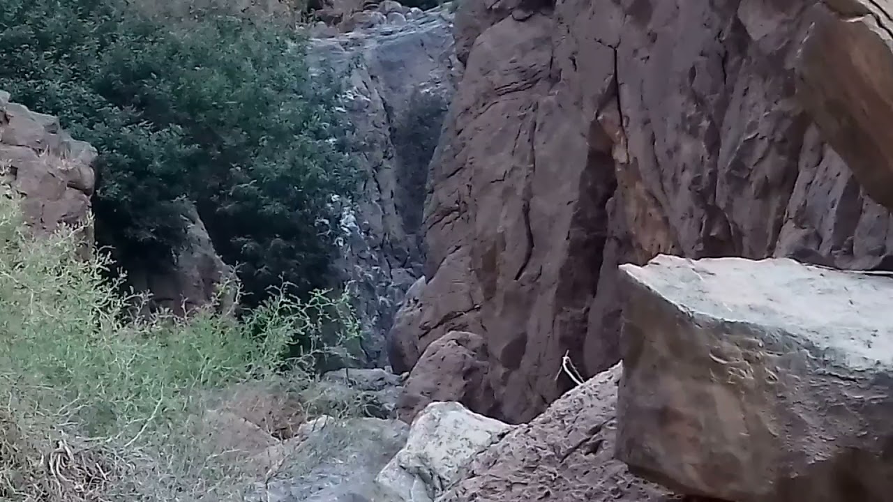 جولة في الجبل والمفاجئة في آخر الفيديو ضهور فشتال أو حيوان الاروي