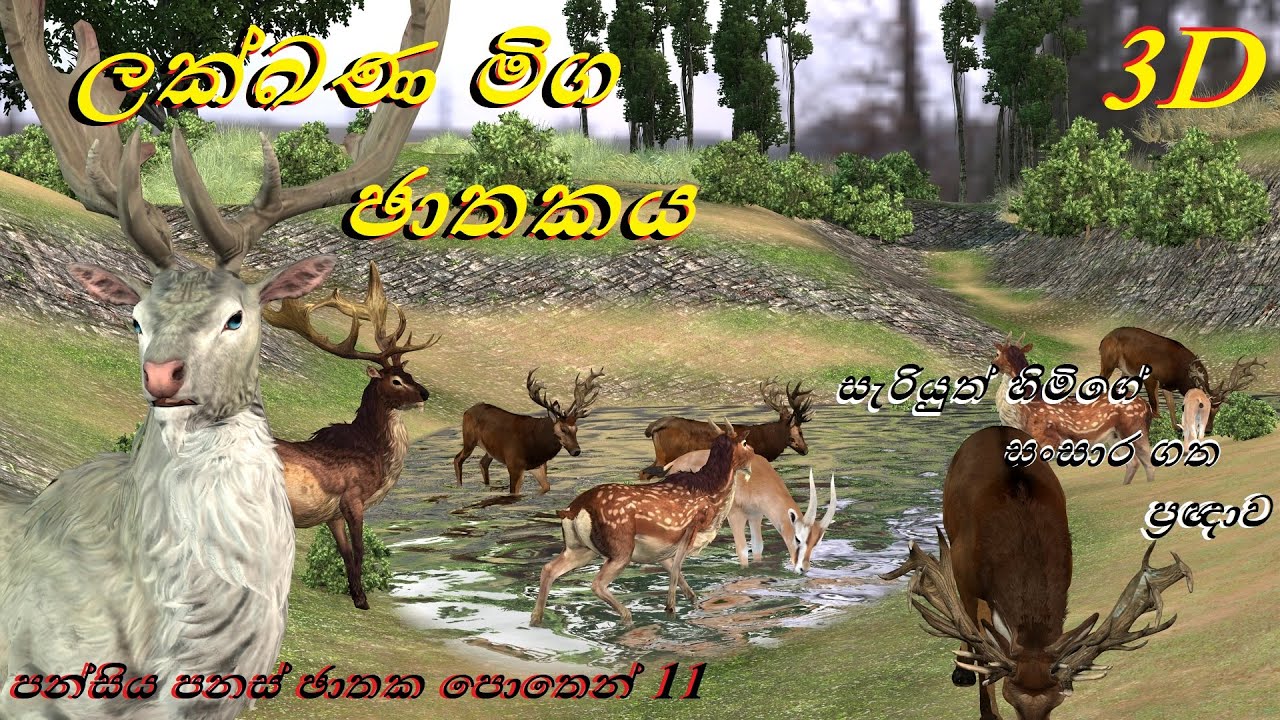 ලක්ඛණ මිග ඡාතකය/සංසාර චාරිකා/ත්‍රිමාණ සජීවීකරණ කෙටි චිත්‍රපට ශ්‍රී ලංකා/ඡාතක කතා/jathaka katha