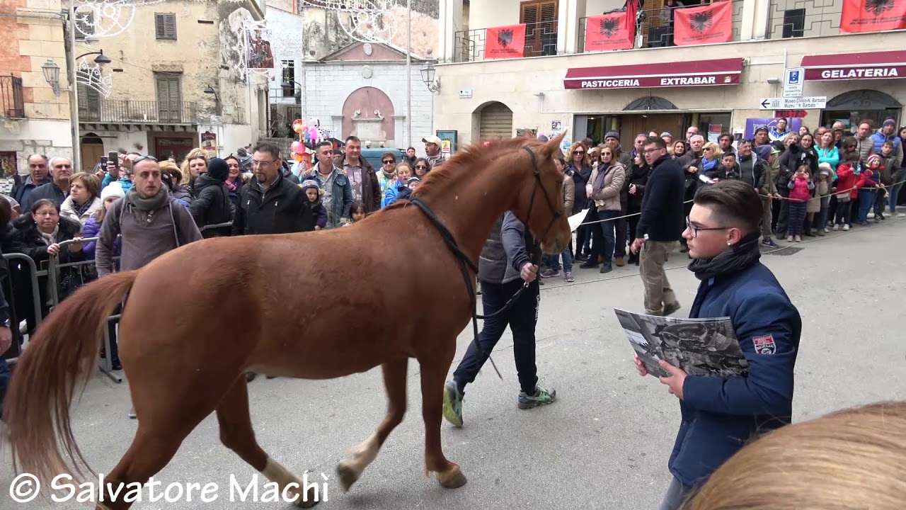 Piana degli Albanesi (PA) - Sfilata equestre 2017