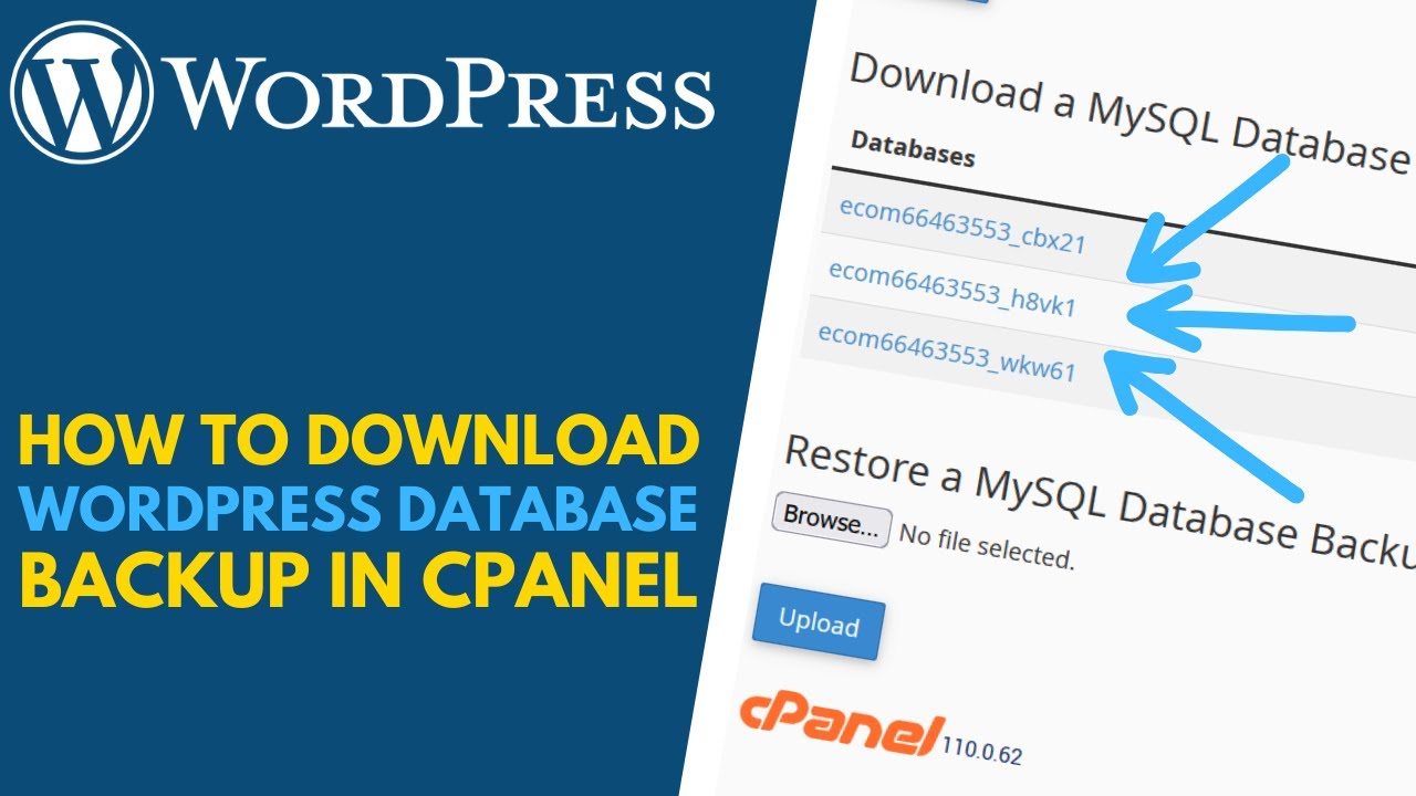 How to Download a Backup Copy of Your WordPress Database Using cPanel