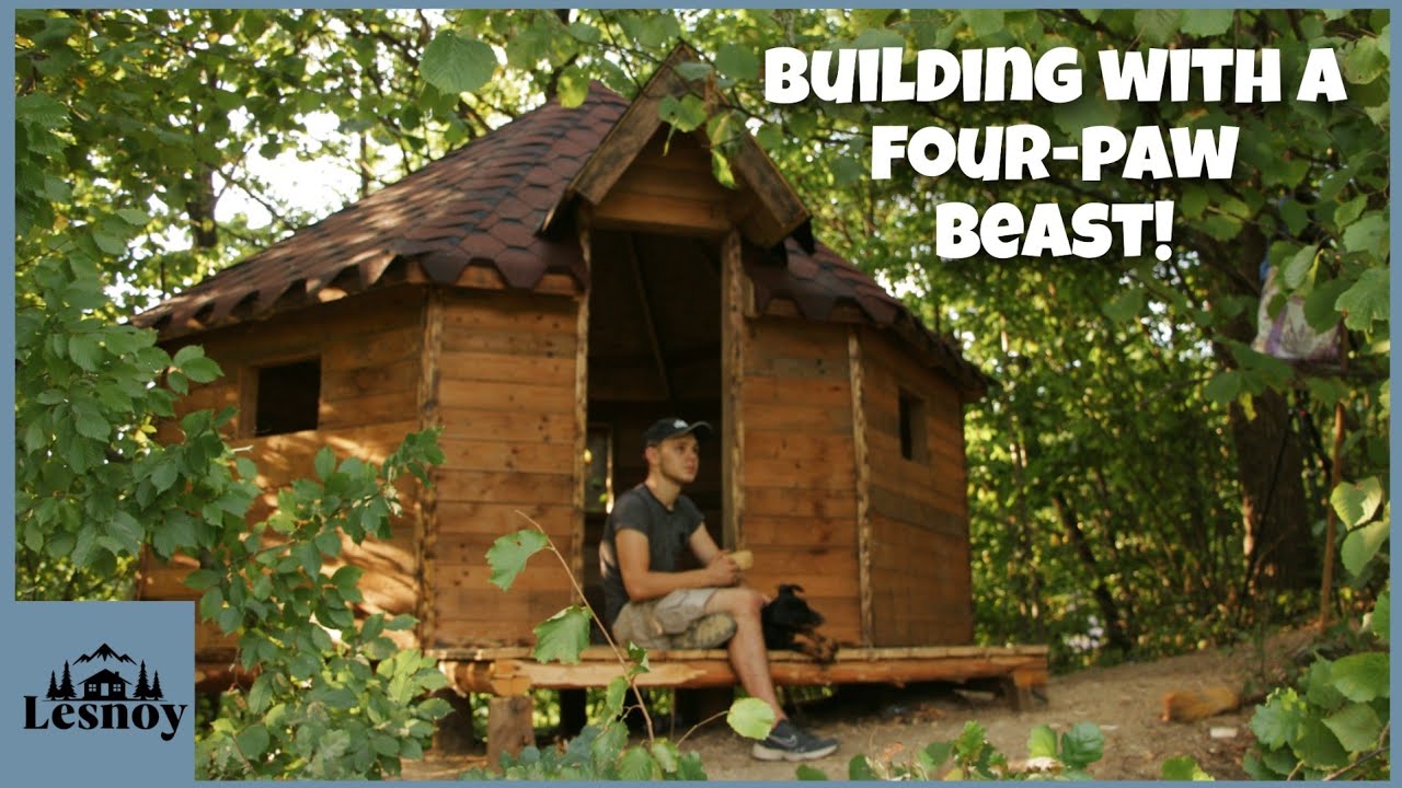 Built a hexagonal house with his own hands. Part 1