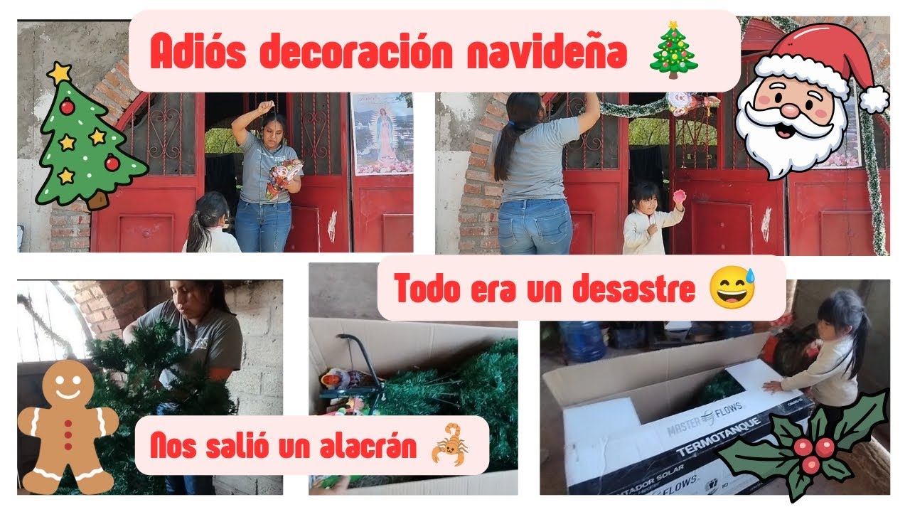 Acompáñanos a quitar la decoración navideña🎄| Hasta la próxima navidad 🎄🎀✨