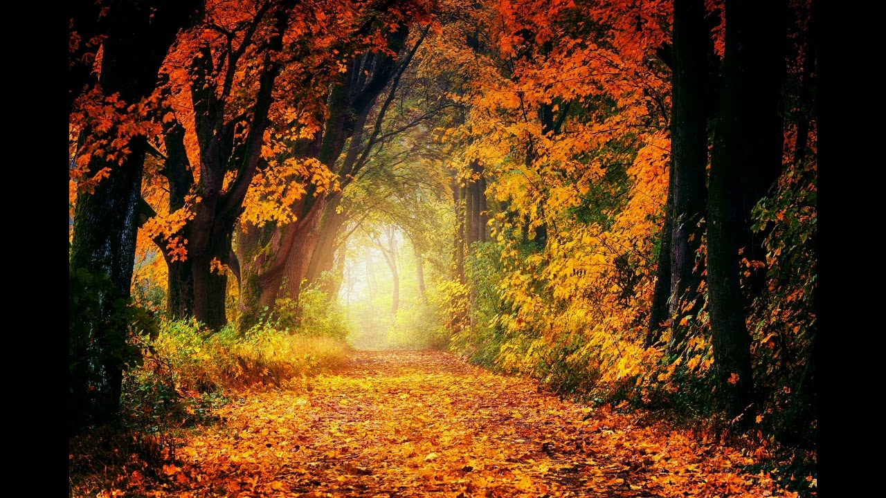 Nenad Šešo - The path of peace and freedom - AI Music Generator (version 1)