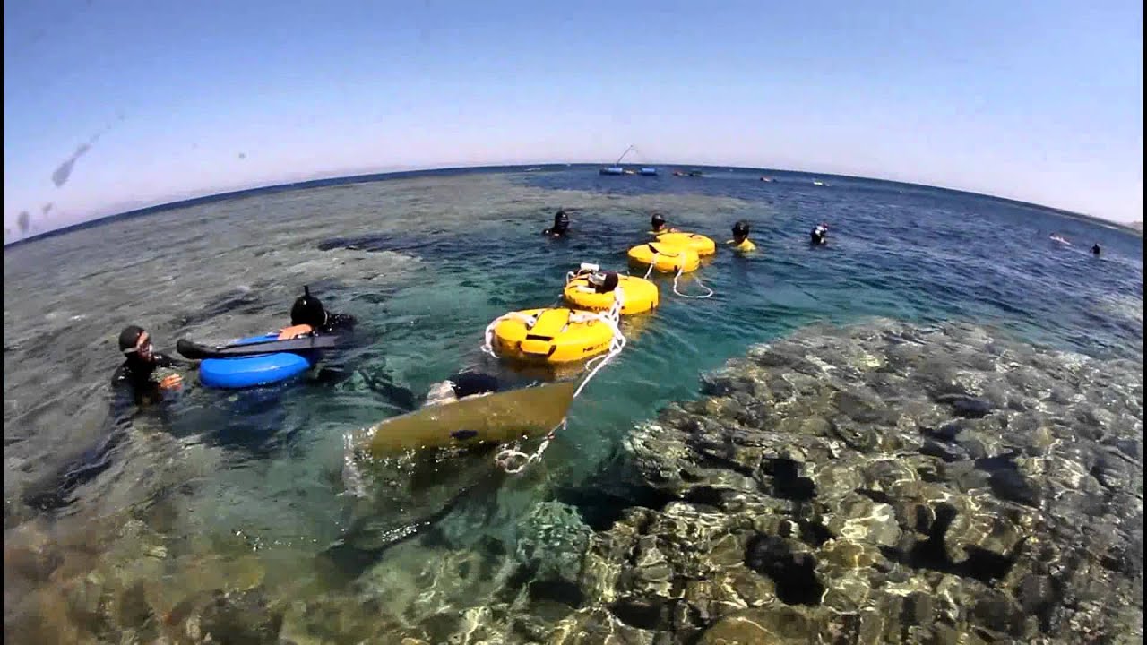 Miguel Lozano 100m CWT Record - Dahab, Egypt - June 2011