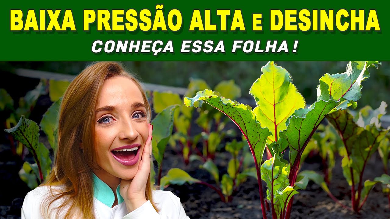 FOLHA INCR&Iacute;VEL para BAIXAR PRESS&Atilde;O ALTA, DESINCHAR e mais - Benef&iacute;cios das Folhas de Beterraba