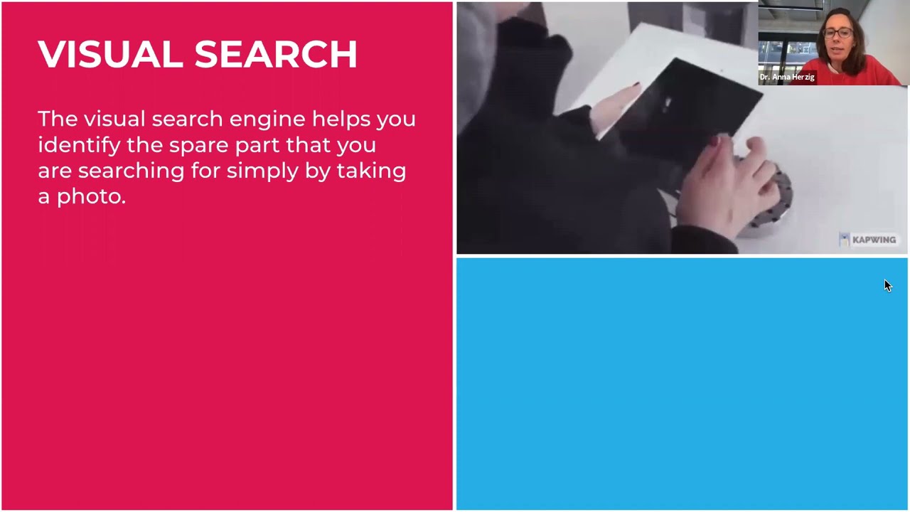 nyris and Replique webinar - Visual Search
