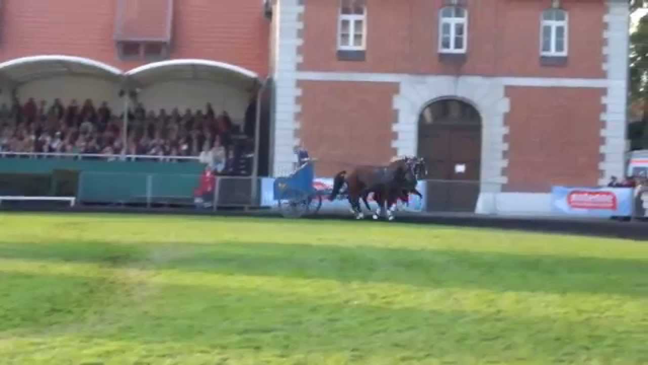 Römerwagen Abschluss - Hengstparade 03.10.2015 Landgestüt Celle