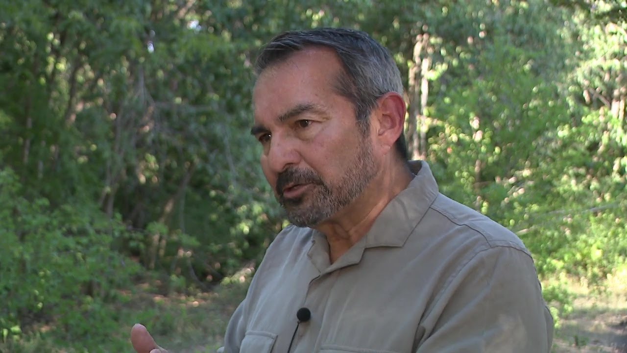 Former FBI agent explains search tactics being used to find missing mom Suzanne Simpson