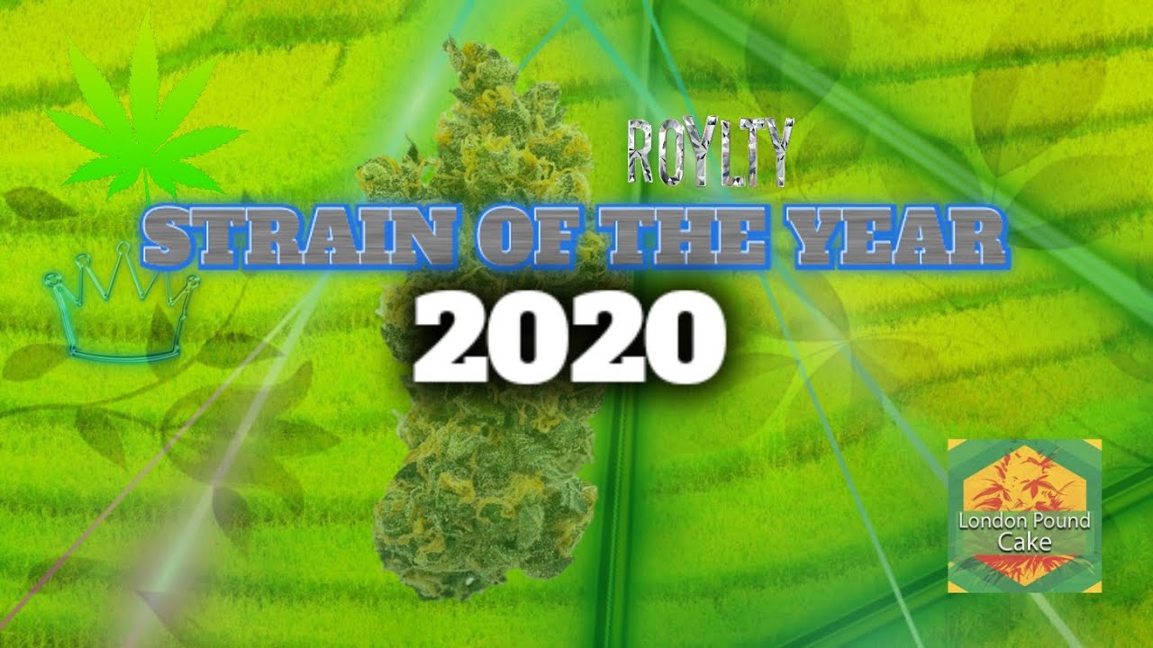 London Pound-Cake 75 Is Kannakutana Strain Of The Year!