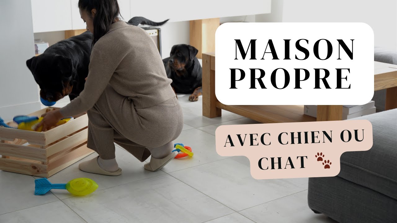 Comment garder une maison PROPRE avec CHIEN ou CHAT 🐾 : Astuces + Recette de biscuits maison🏡