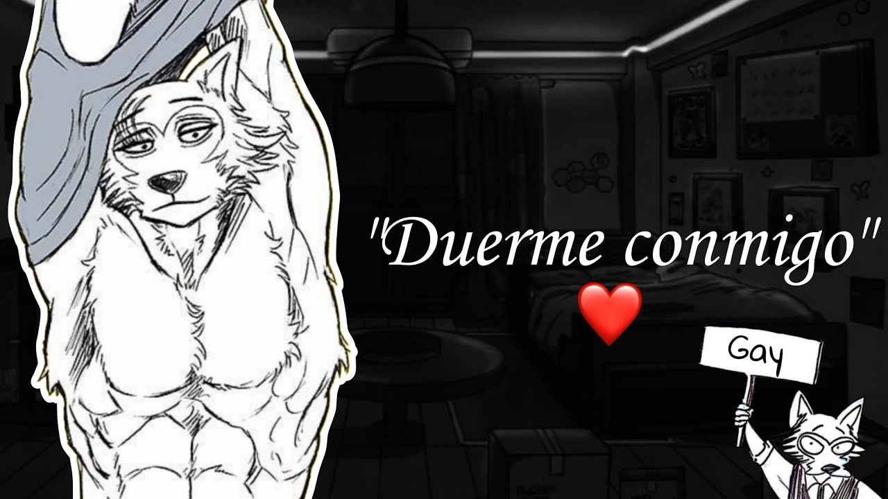 Legoshi quiere dormir contigo 💜🐺 Asmr roleplay yaoi #asmr #rolplay