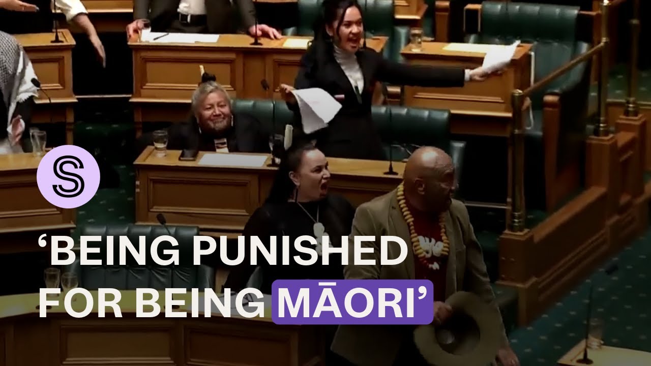 MPs react to unprecedented suspensions of Te Pāti Māori co-leaders for Parliament haka | Stuff.co.nz