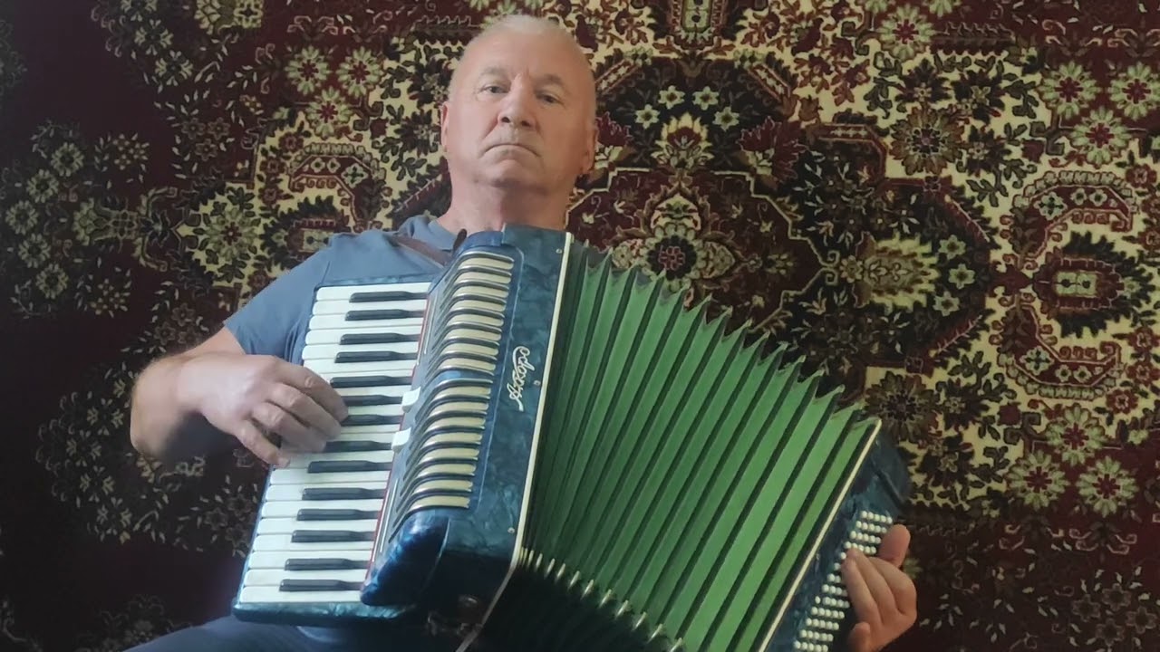 Valurile Dunării I Anatol Caraman I Acordeon