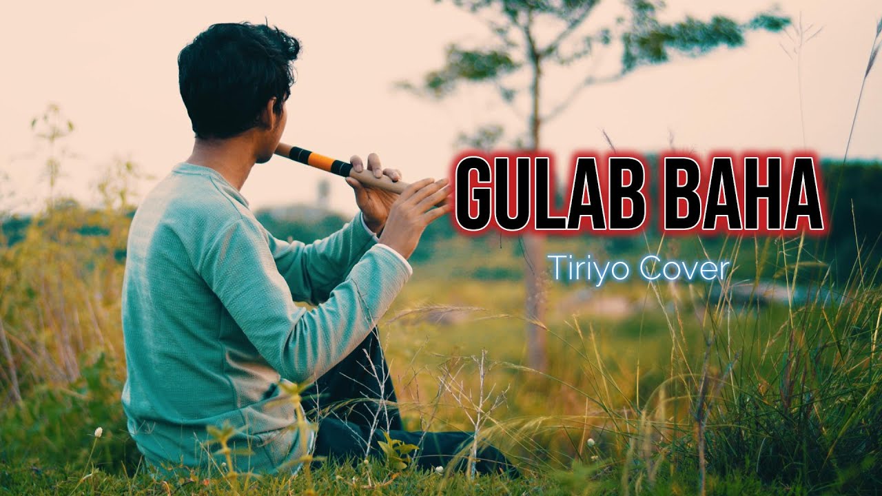 Gulab Baha Rup Amak | Tiriyo Cover | Surajit Mandi