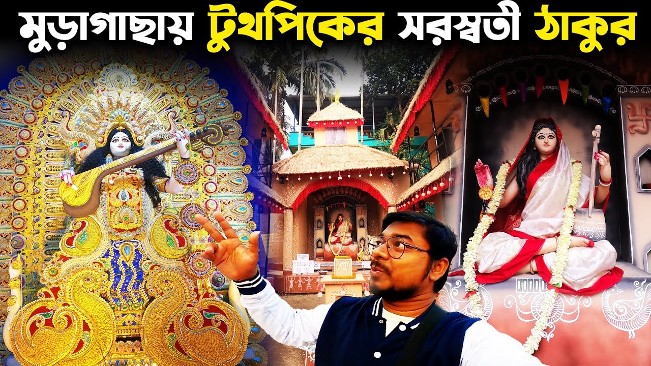 মুড়াগাছার সরস্বতী পুজো ২০২৪❤️ Muragacha Saraswati Puja 2024😌 Muragachha Saraswati Puja Pandal 2024