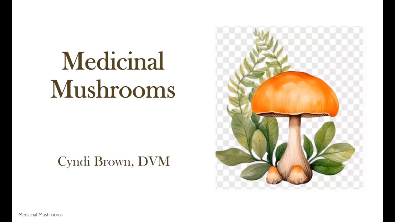 Cyndi Brown DVM Are Mushrooms Medicinal? Nov 2024