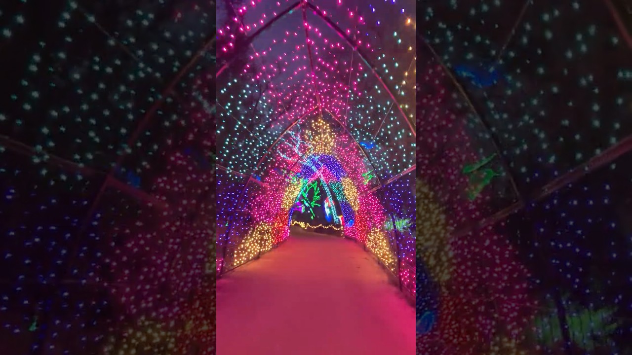 Redding Garden of Lights 