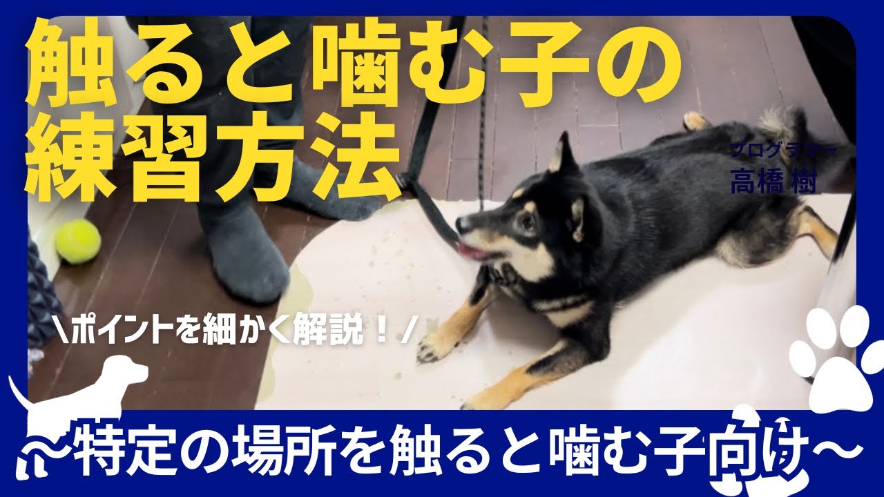 【噛み】触ると噛んでしまう子の練習方法！