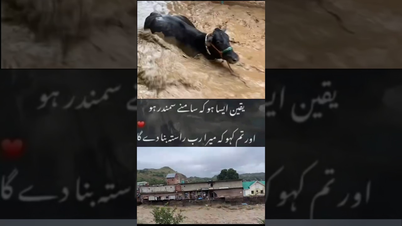 River Flood News Update |Pakistan River Flood News|