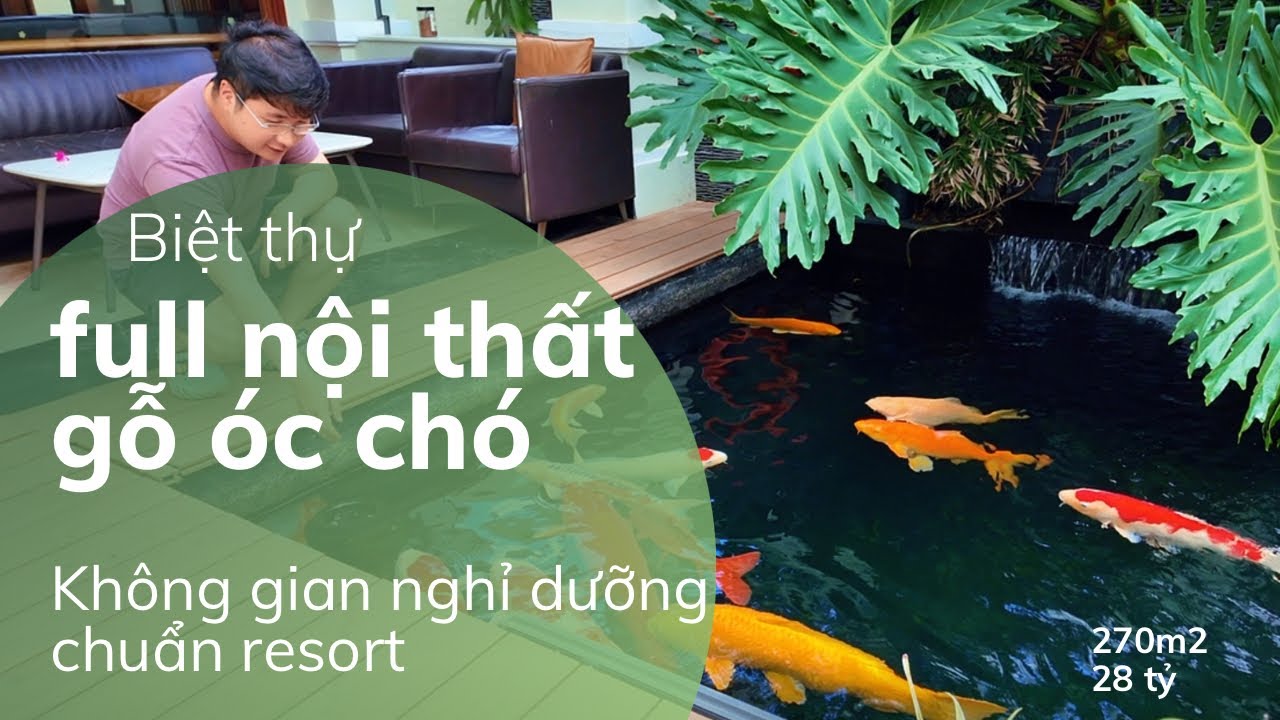Review Villa Đà Lạt Mặt Tiền Nguyên Tử Lực | Biệt Thự Đà Lạt Full Nội Thất Gỗ Óc Chó, Giá Tốt