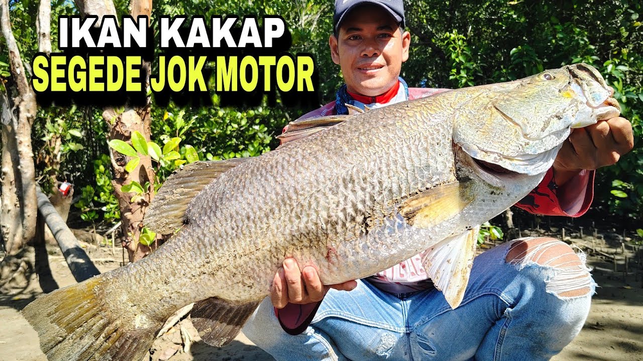 MANCING IKAN KAKAP PUTIH DAPAT SEGEDE JOK MOTOR