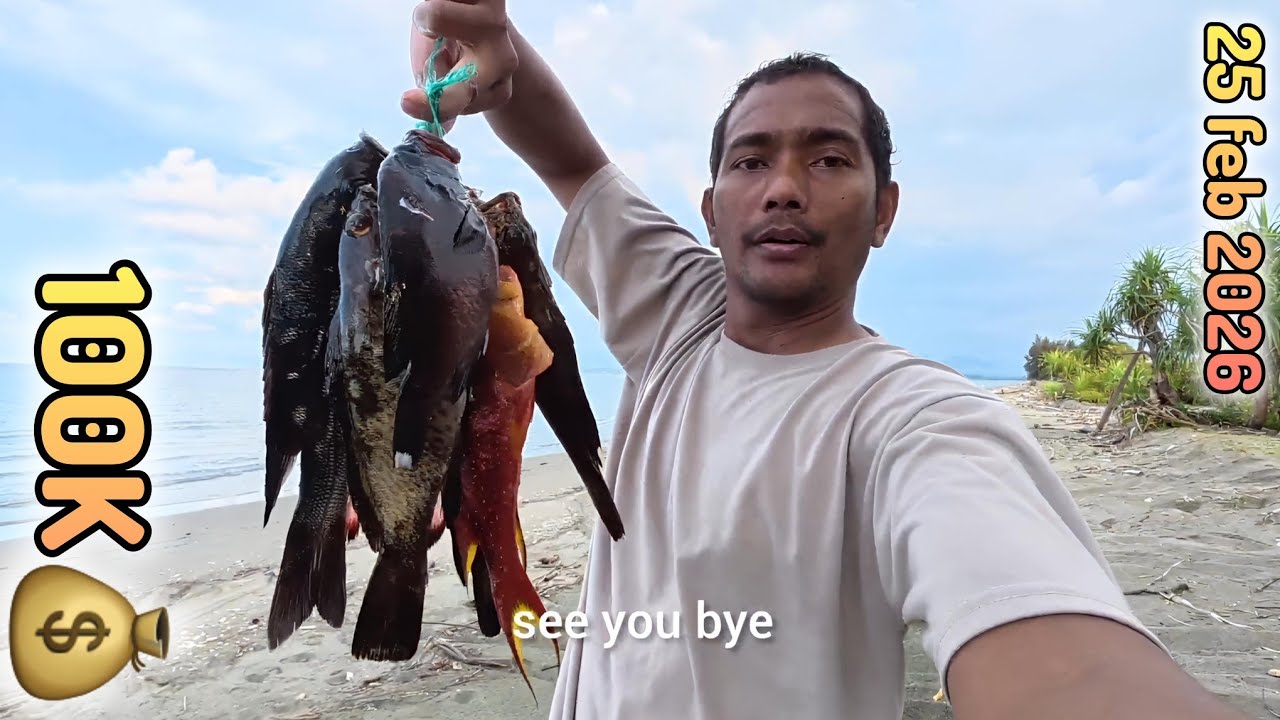  grouper fest spearfishing
