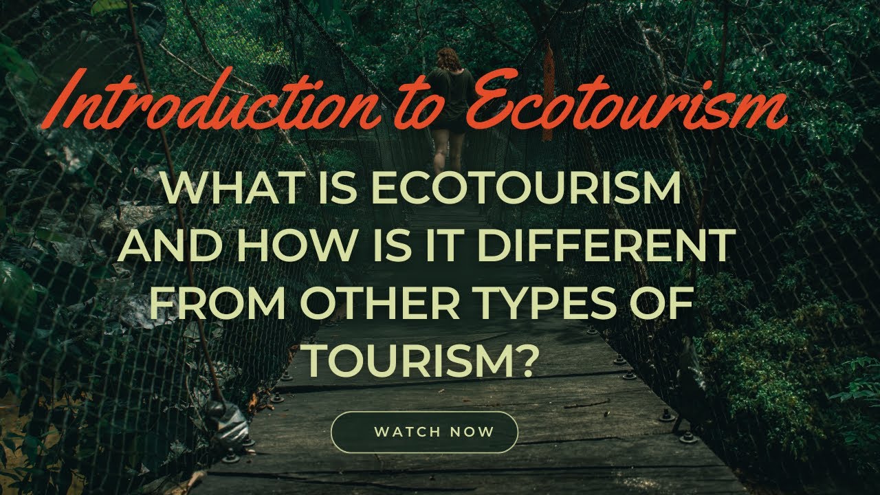 What is ecotourism, and how is it different from other types of tourism?